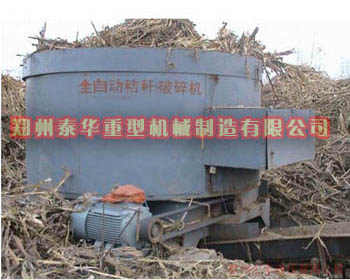 玉米91免费看片在线观看